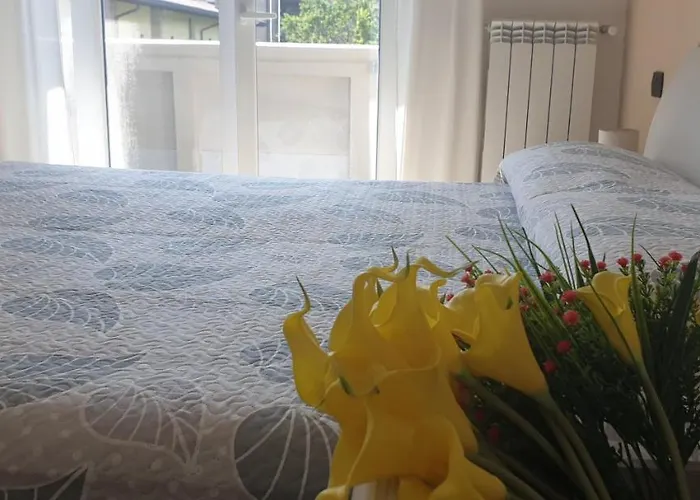 Karina House - Όπως