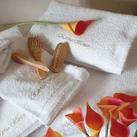 Apartament Karina House -
